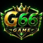 G66 Game